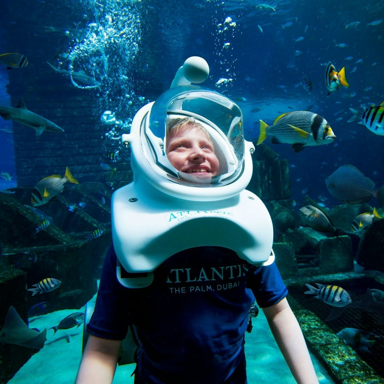 Aquaventure World: Waterpark Day Pass + Shark Snorkel or Safari - Photo 1 of 3